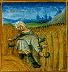Calendrier - 07